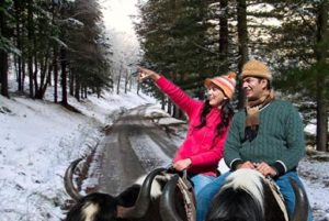 shimla manali honeymoon tour package